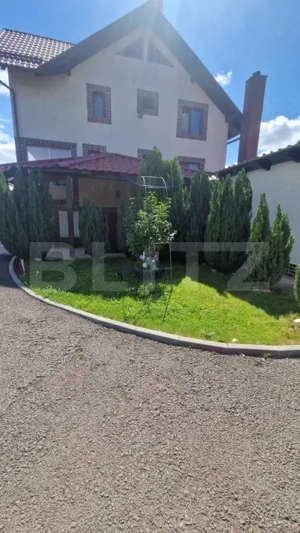 Casa 5 camere Vulcan,teren 1600 mp   - imagine 2