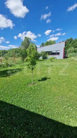 Casa 5 camere Vulcan,teren 1600 mp   - imagine 4