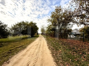 Teren EV și IV cu casă, 29.600 mp, utilități și acces facil, Albești