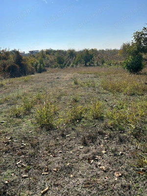 Teren intravilan Cârcea - 1300 mp - imagine 2