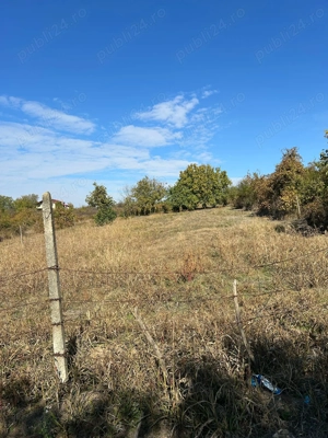 Teren intravilan Cârcea - 1300 mp