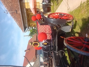 Se vinde trasura - imagine 4