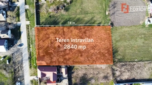 Teren intravilan 2840 mp cu fundatie - Jebel - imagine 6