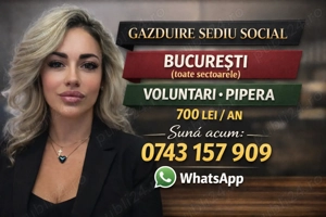 Găzduire Sediu Social   București (toate sectoarele)   Pipera