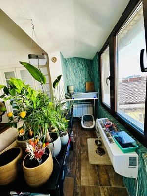 Apartament 3 camere + 1 birou,  Cotroceni, curte si gradina, metrou Eroilor - imagine 17
