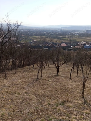 Casa individuala de vanzare, 3100 mp teren, loc. Cuzdrioara - imagine 11