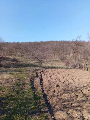 Casa individuala de vanzare, 3100 mp teren, loc. Cuzdrioara - imagine 10