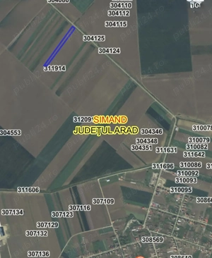 Vând teren agricol situat în localitatea Șimand, județul Arad .