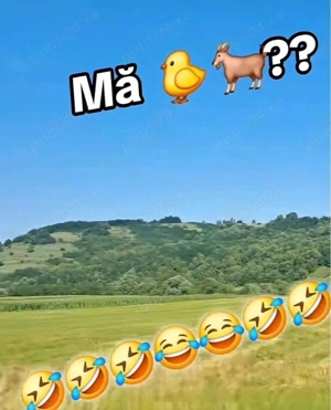 Băiat bisex pasiv caut doar tineri absolut de plăcere! 