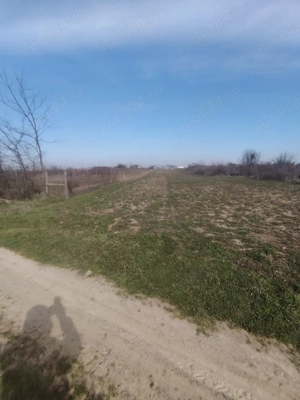 Teren intravilan in Coșoveni, Dolj - imagine 3