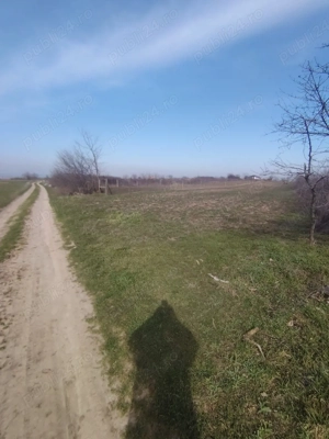 Teren intravilan in Coșoveni, Dolj - imagine 4