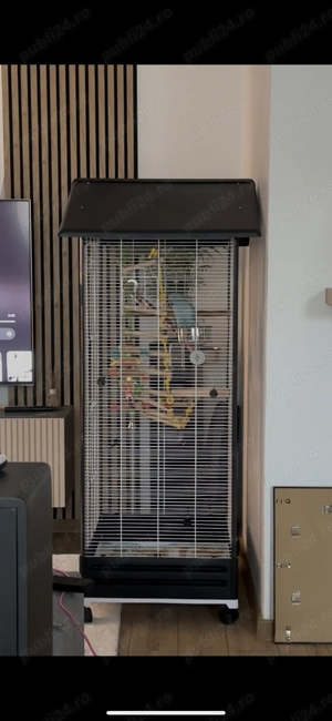 Vânzare Micul Alexandru  - imagine 3