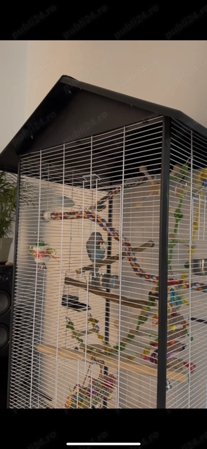 Vânzare Micul Alexandru  - imagine 4