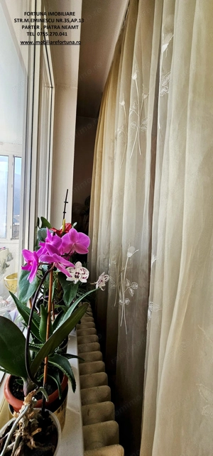 Apartament 2 camere decomandate Precista, zona Kaufland - Costa Rica - imagine 13