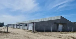 Teren intravilan 32.277 mp, în com. Ulmu, jud.Călărași - imagine 2