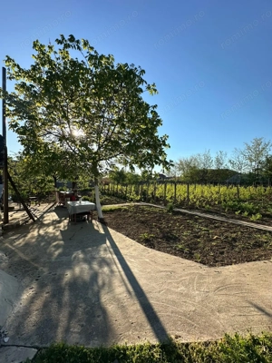 Direct proprietar: Casă demolabilă + teren 1167 mp - imagine 5