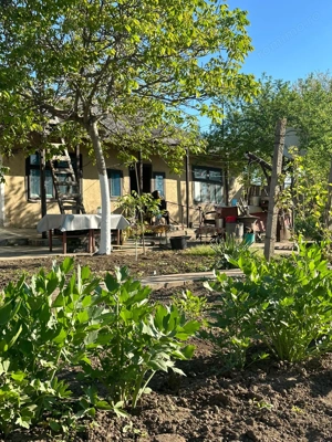 Direct proprietar: Casă demolabilă + teren 1167 mp - imagine 4