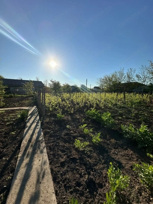 Direct proprietar: Casă demolabilă + teren 1167 mp - imagine 8