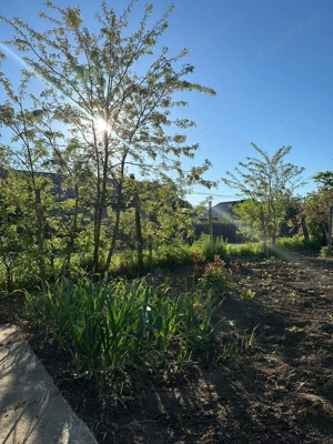 Direct proprietar: Casă demolabilă + teren 1167 mp - imagine 6