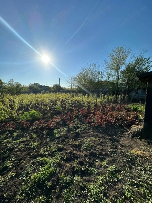 Direct proprietar: Casă demolabilă + teren 1167 mp - imagine 7