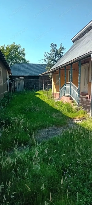 casa de vanzare groșii Țibleșului  - imagine 3