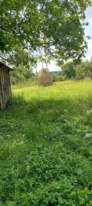 casa de vanzare groșii Țibleșului  - imagine 5