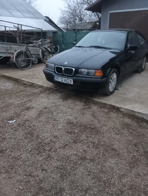 Caută stapan  - imagine 2