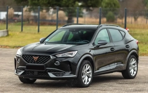 Cupra Formentor 1.5 TSI 150 CP | Bogat echipament | Istoric complet - imagine 2