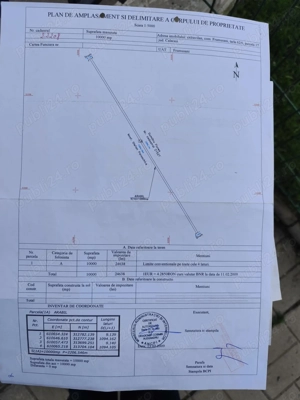 frumusani, teren de vanzare extravilan- direct proprietar - imagine 6