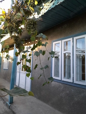 Casa cu teren Sihleanu - imagine 5