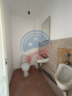 HALE INDISTRIALE SAU BIROURI ZONA CARCEA SAU BRESTEI - imagine 5