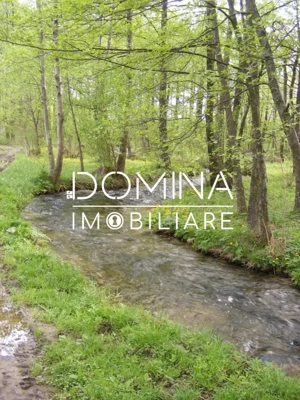 Închiriere loturi de teren în Comuna Runcu – sat Sănătești - imagine 9
