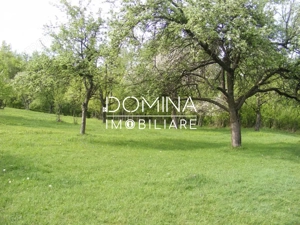 Închiriere loturi de teren în Comuna Runcu – sat Sănătești - imagine 4