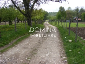 Închiriere loturi de teren în Comuna Runcu – sat Sănătești - imagine 2