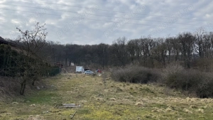 Teren intravilan de vanzare in Corunca - imagine 3