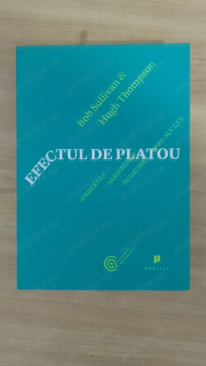 Bob Sullivan,Hugh Thompson - Efectul de platou