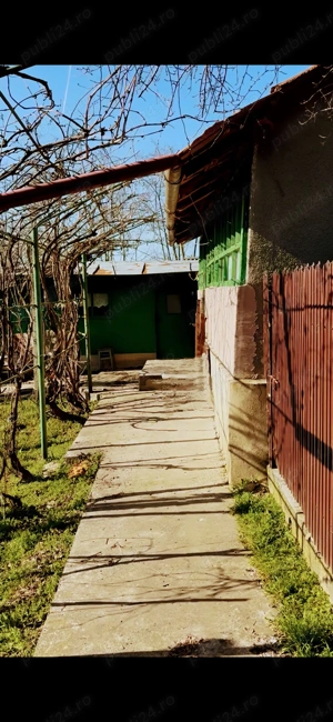 Vând casa la curte comuna Ulmu, judet Calrarasi la 200 m de lac! - imagine 9