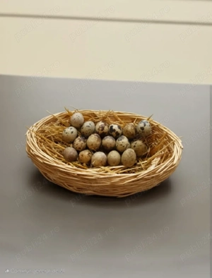 0,5.lei. ou. Acum platesti 10, primesti 11, Oua de Prepelita pt.consum. GUSTOS, SANATOS, CONSISTENT. - imagine 5