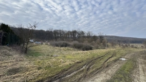 Teren intravilan de vanzare in Corunca - imagine 4