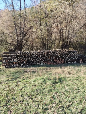 CURĂȚARE Terenuri - imagine 4