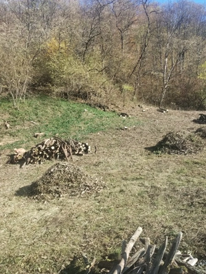 CURĂȚARE Terenuri - imagine 3