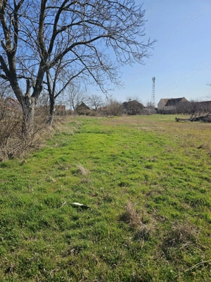 Vând casă nelocuibilă cu teren 2870 mp comlosul mare