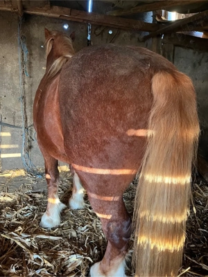 Vand schimb manz - imagine 2