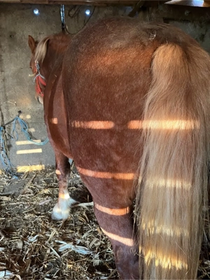 Vand schimb manz - imagine 3