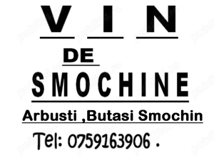 Vin de Smochine 