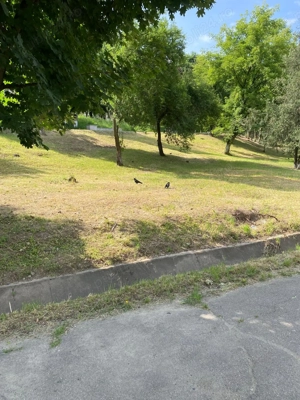 teren intravilan - imagine 8