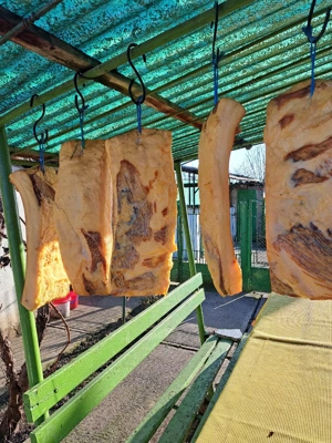 Vind slanina - imagine 5