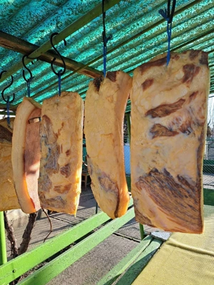 Vind slanina - imagine 4