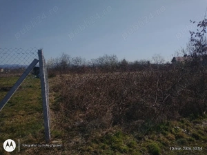 Lapusel zona de case noi,9 ari  ari intravilan - imagine 4