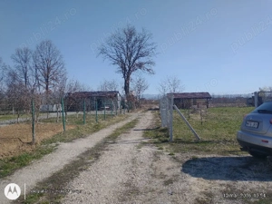 Lapusel zona de case noi,9 ari  ari intravilan - imagine 3